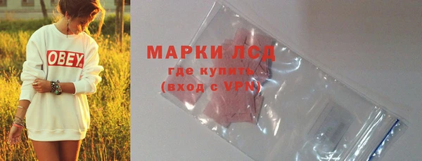 шишки Киренск