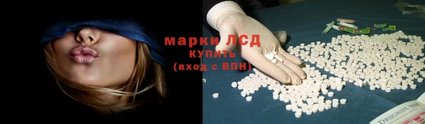 шишки Киренск