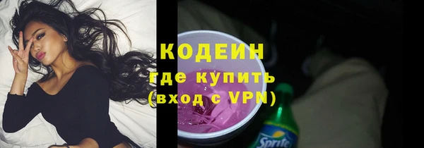 молекула духа Киреевск