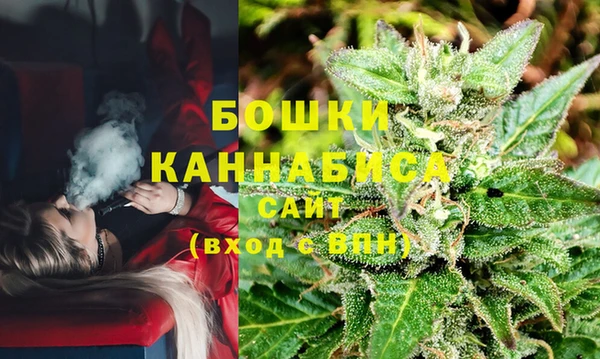 шишки Киренск
