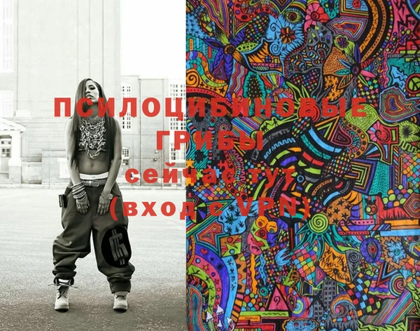 молекула духа Киреевск