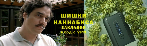 молекула духа Киреевск